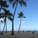 How to Enjoy the Best Hawaiian Vacation at the Least Cost?