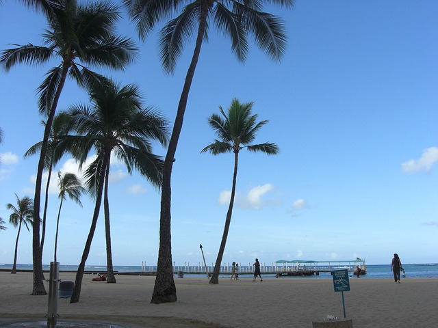 hawaii beach vacation