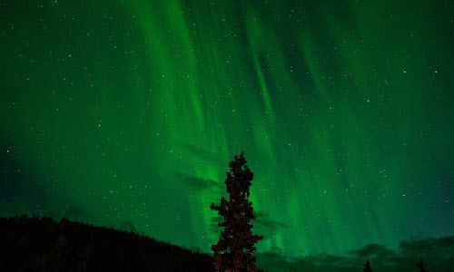 Alaska is the best place to see northern lights in December in U.S. and also best for celebrating christmas