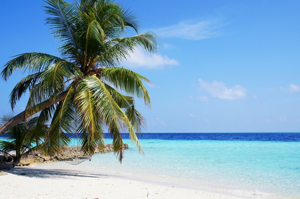 Celebrate your honeymoon in Maldives