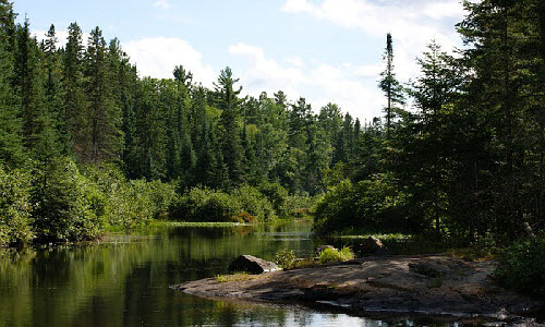 Algonquin Provincial Park in Ontario, Canada offers tourists 8 campgrounds, 14 trails, a Visitor Centre, education programmes and a Logging museum