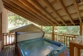 Mt. Baker Lodging Cabin #45SL - Hot Tub - Pets Ok - WIFI - Sleeps 8