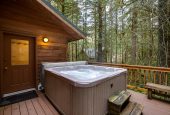 Mt. Baker Lodging Cabin #40SL - Hot Tub - BBQ - Pets Ok - WIFI - Sleeps-8